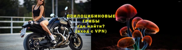 гашик Армянск