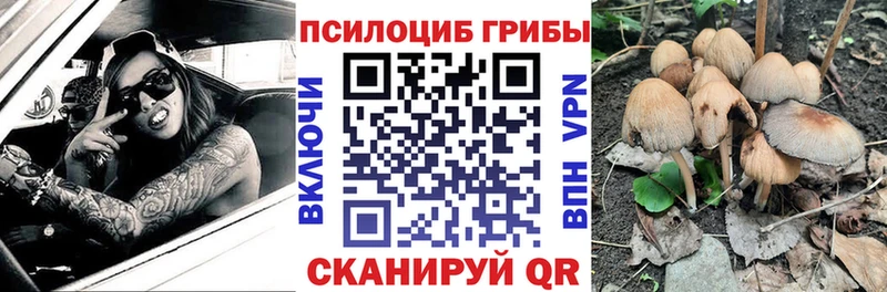Галлюциногенные грибы мицелий ОМГ ОМГ зеркало Тихвин наркота